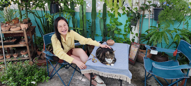 Comentarii opinii despre Brew Is Bliss