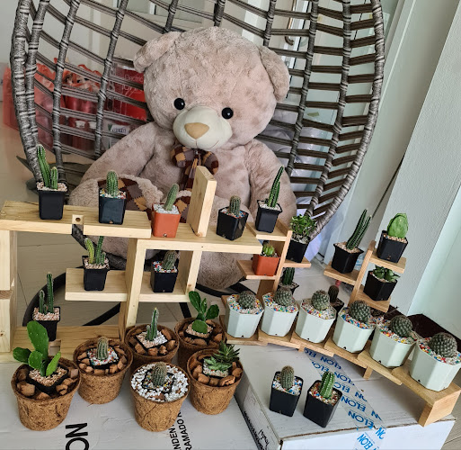 51 /21หมู่12ซ เพชรเกษม 87 อำเภอกระทุ่มแบน สมุทรสาคร 74130