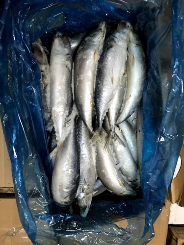 Opinii despre ห้องเย็นปลาทู แจ้งวัฒนะ 38 în อำเภอปากเกร็ด - การบริการอาหารและที่พัก