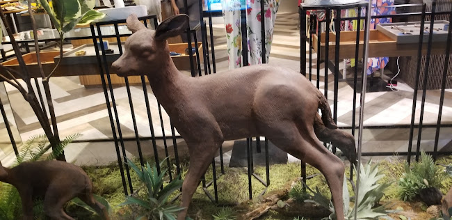 150 ถ. ทวีวงศ์ ตำบลป่าตอง อำเภอกะทู้ ภูเก็ต 83150