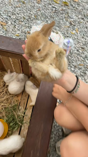 R8J6+H3X ซอย ยอดเสน่ห์ 1 ตำบล กะรน อำเภอเมืองภูเก็ต ภูเก็ต 83100