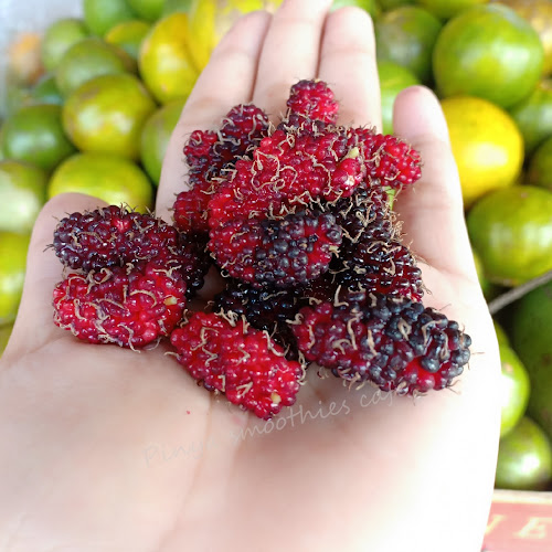 ภิญญา ผลไม้สดปั่น & กาแฟสด ( pinya smoothies café ) - เมือง