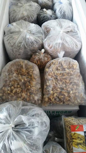 Comentarii opinii despre บ้านรวมแมลง@ตาลเดี่ยว