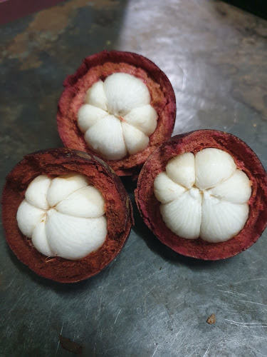 ร้านเจ๊แก้วผลไม้โคราช