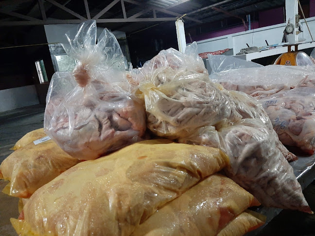 โฮงไก่พะเยา