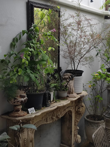 Pewter Tag - การบริการอาหารและที่พัก