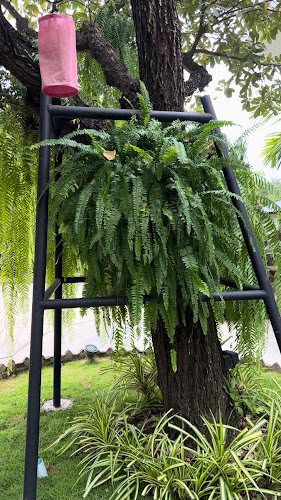 1 36 ตำบล เมืองเก่า อำเภอเมืองสุโขทัย สุโขทัย 64210