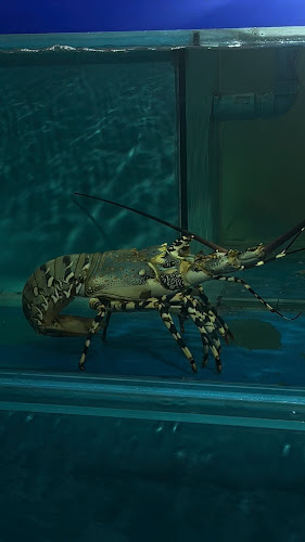 บ้านกุ้งมังกร - อำเภอเมืองภูเก็ต