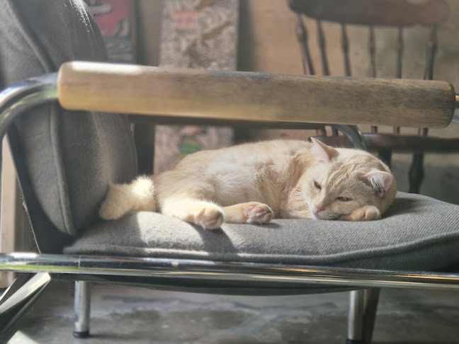 Opinii despre Hood în อำเภอหาดใหญ่ - การบริการอาหารและที่พัก