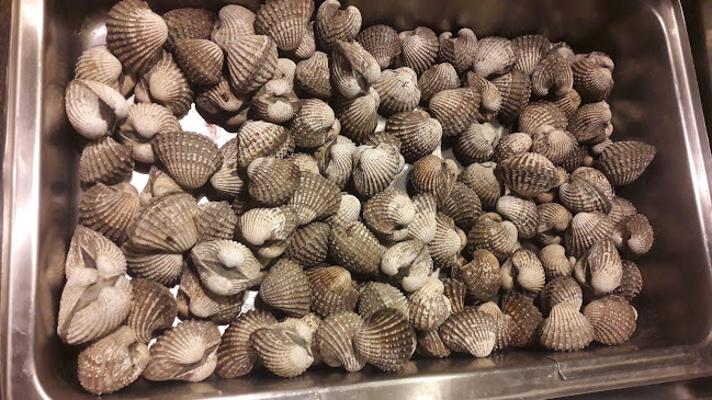 9VV4+W7W ตำบล พระลับ อำเภอเมืองขอนแก่น ขอนแก่น 40000