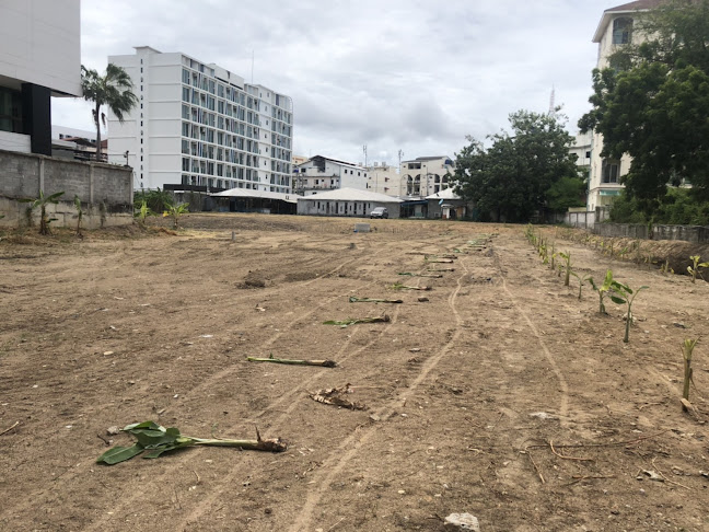 Action Street - การบริการอาหารและที่พัก