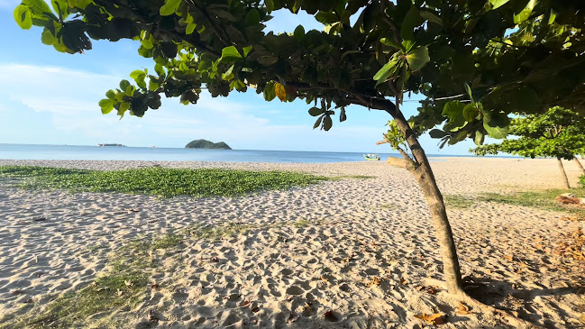 Comentarii opinii despre ร้านอาหารบังเสม ซีฟู้ด