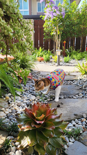 35/283-284 ซอย 14 หมู่บ้าน บุราสิริ งามวงศ์วาน-ประชาชื่น ต อำเภอเมืองนนทบุรี นนทบุรี 11000