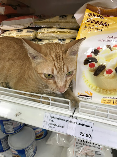 168 เบเกอร์ - อำเภอเมืองพิษณุโลก