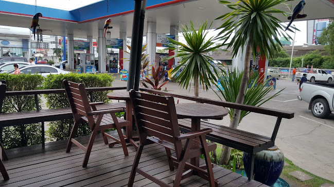 Café Amazon สาขา ปตท.พิษณุโลก โคกช้าง - อำเภอเมืองพิษณุโลก