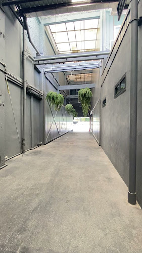 Comentarii opinii despre Cub House Nakhon Pathom (คับเฮาส์ นครปฐม)