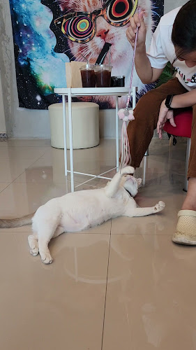 COFFEE HOUSE เฮ้ย…กาแฟ - อำเภอบางละมุง