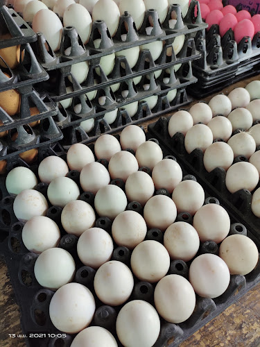 ไก่ต้มน้ำปลากาญจนา - การบริการอาหารและที่พัก