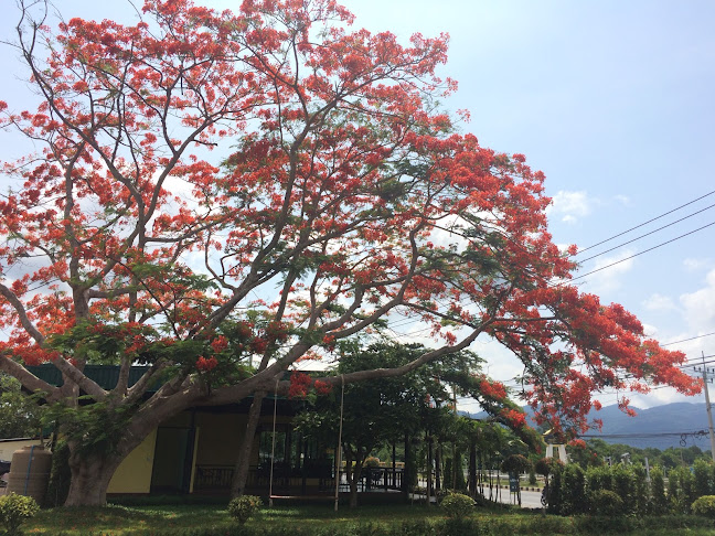 Comentarii opinii despre ร้าน Prin Coffee