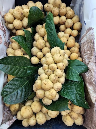 Comentarii opinii despre ร้านระพีภัทร์ ตลาดปฐมมงคล