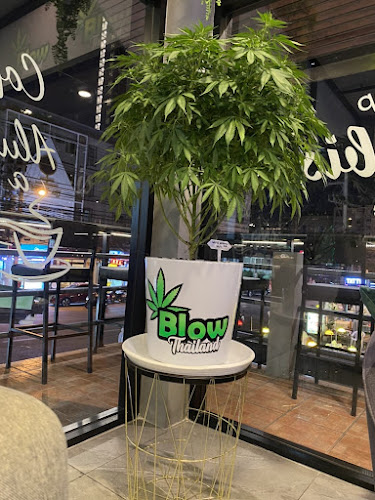 Blow Amur Burger Club - อำเภอบางละมุง