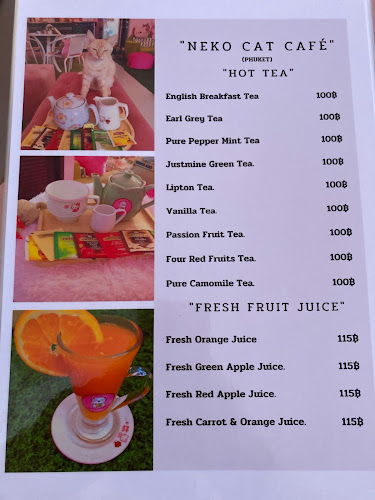 Neko Cat Cafe - การบริการอาหารและที่พัก