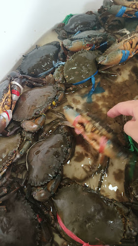 อะนเฟรน