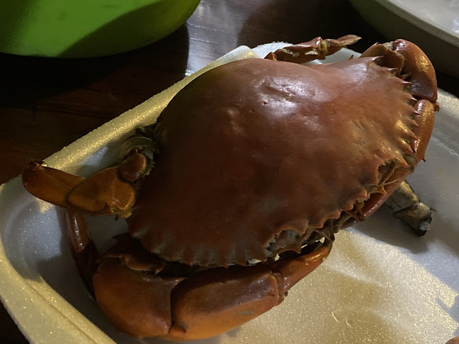 Opinii despre บ้านปูไข่ทองคำ în อำเภอเมืองขอนแก่น - การบริการอาหารและที่พัก