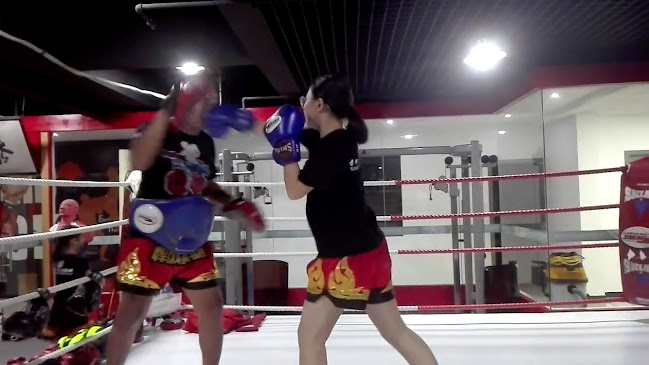 บ้านเกาะสแควร์ - การบริการอาหารและที่พัก