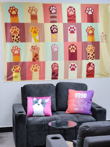 Comentarii opinii despre Sit Down Pet Cafe