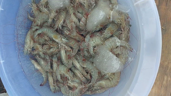 65/55 ถนน จันอุดม ตำบล ท่าประดู่ อำเภอเมืองระยอง ระยอง 21000