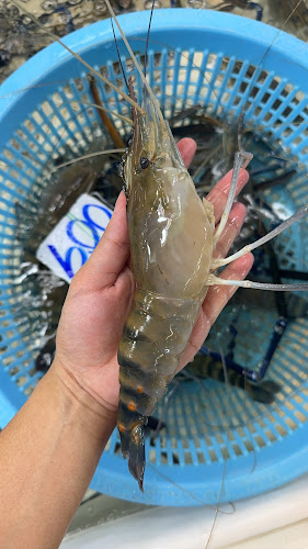 Opinii despre ศรีนวล ตลาดทะเลไทย în เมือง - การบริการอาหารและที่พัก