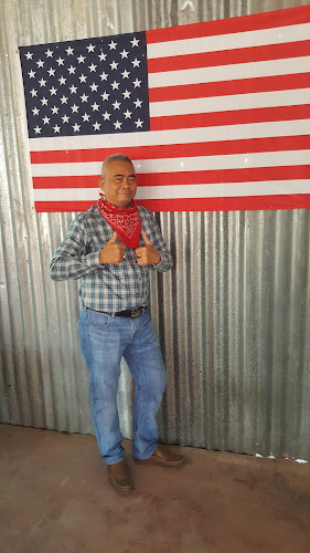 Comentarii opinii despre H