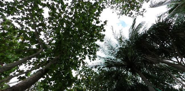 เสื่อผืน หมอนใบ - การบริการอาหารและที่พัก