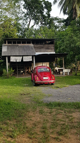 Comentarii opinii despre cocohome.hdy