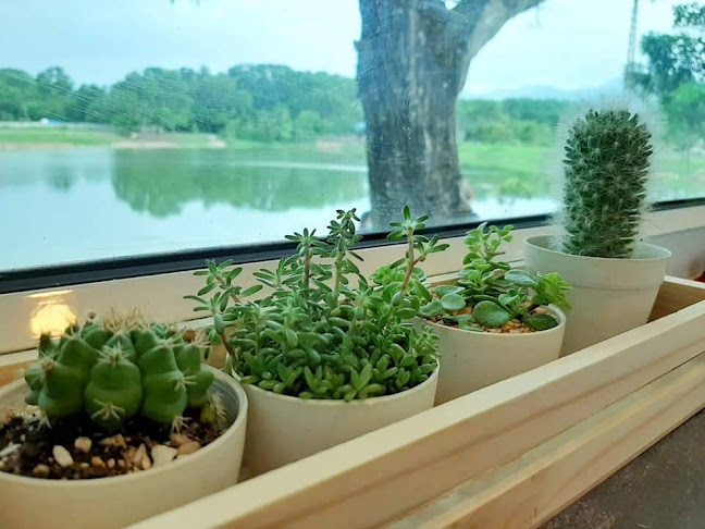 Comentarii opinii despre Water Walk Café : น้ำเดิน คาเฟ่ (ศรีสุนทร/ภูเก็ต)