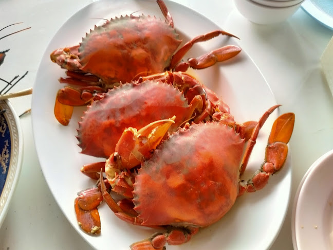 Comentarii opinii despre Food Market Kata