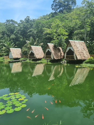 Sea Sky Cafe' - การบริการอาหารและที่พัก