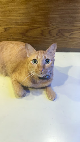 ปาก ซอย เนินพลับหวาน เมืองพัทยา อำเภอบางละมุง ชลบุรี 20150