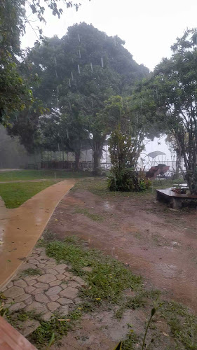 Mountain Jungle Restaurant - การบริการอาหารและที่พัก