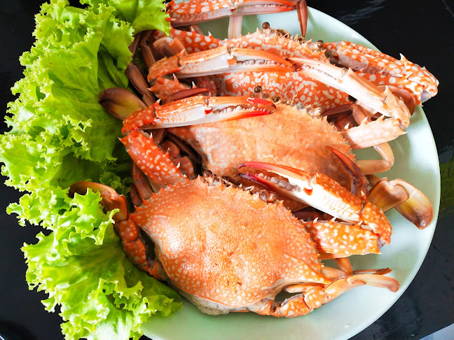 หอยใต้ไทร ซีฟู้ด Hoitaisai Seafood - การบริการอาหารและที่พัก
