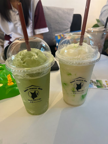 Comentarii opinii despre baan maew dum