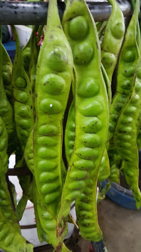 ตลาดสดพลาซ่า 3 - การบริการอาหารและที่พัก