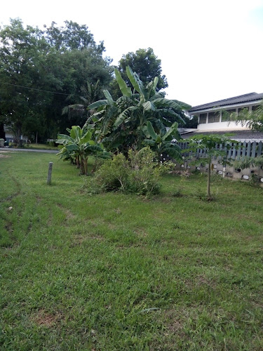 Opinii despre ร้านจ่าโกย เจ้าของไห în อำเภอเมืองนครราชสีมา - การบริการอาหารและที่พัก