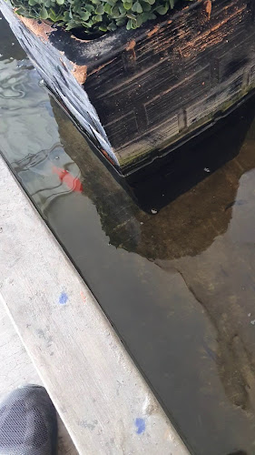 แกะดำคอฟฟี่