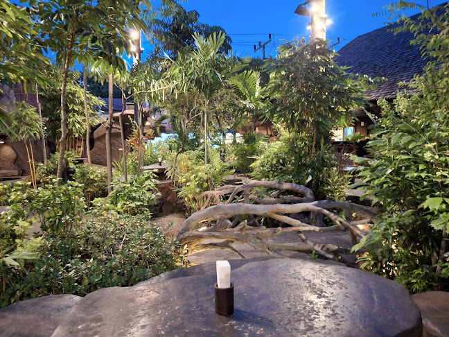 ไดโนบาร์ - การบริการอาหารและที่พัก