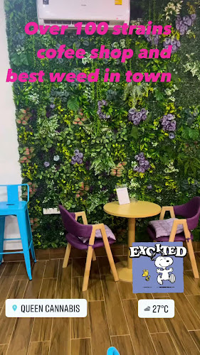 Comentarii opinii despre Two Wheels coffee & Scooter for rent