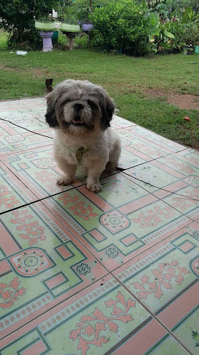 LIMMIE COFFEE บ้านสุชญา ธรรมรักษ์เจริญ - อำเภอเมืองนครปฐม