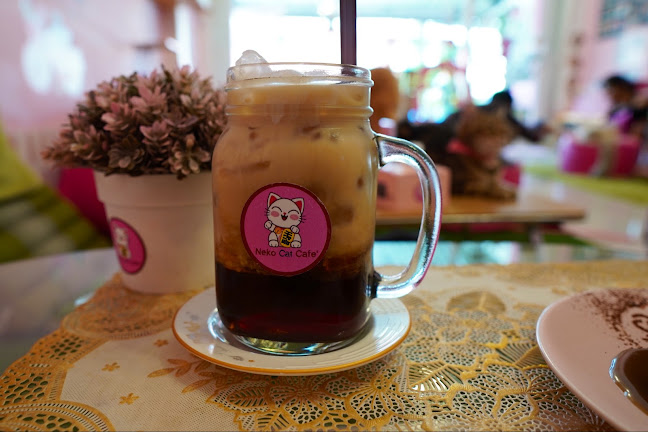 Neko Cat Cafe - Phuket