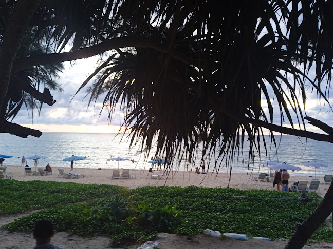 Comentarii opinii despre ตลาดบางเงือก ต.กะรน